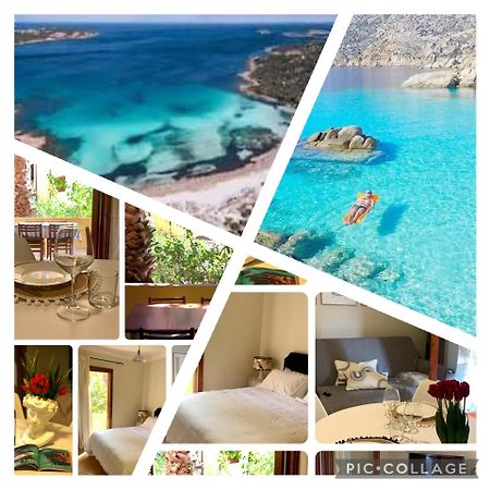 Nest House - Esclusivo Appartamento Marina Di Olbia- Mater Olbia - Beaches - Close To The Airport - Private Parking- Full Comforts - Extérieur photo