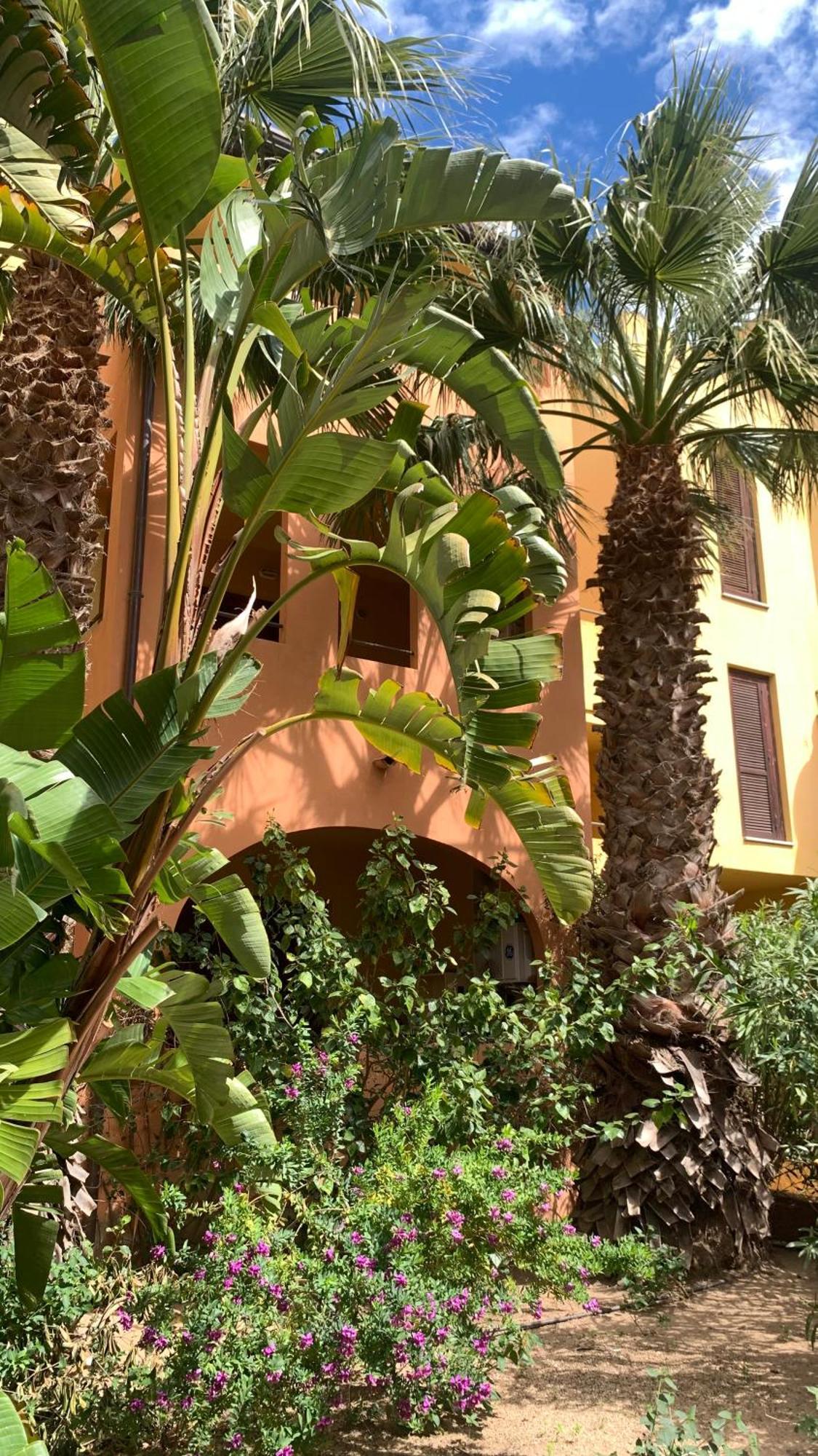Nest House - Esclusivo Appartamento Marina Di Olbia- Mater Olbia - Beaches - Close To The Airport - Private Parking- Full Comforts - Extérieur photo